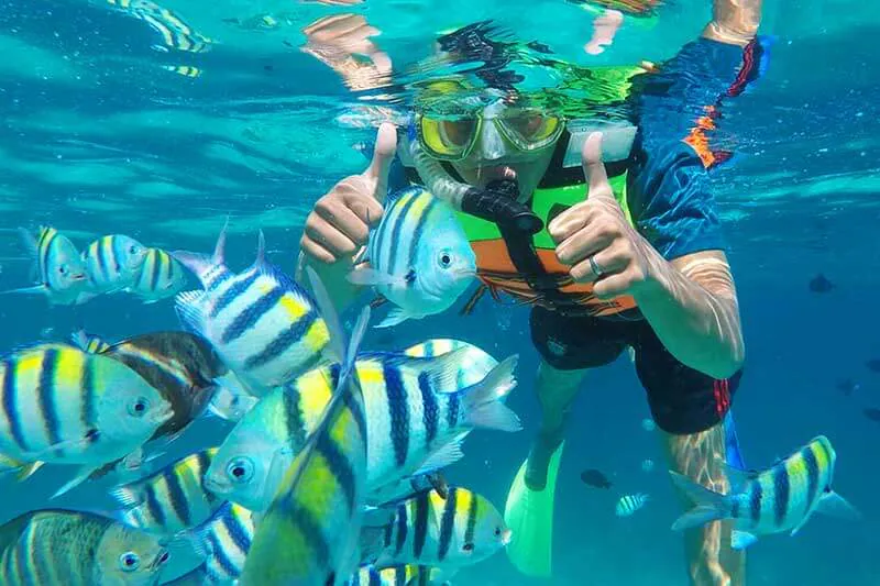 Snorkeling dengan ikan tropis
